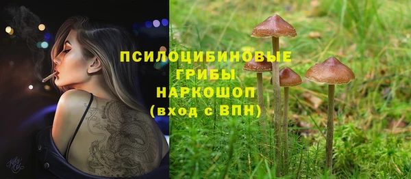 2c-b Нефтекумск