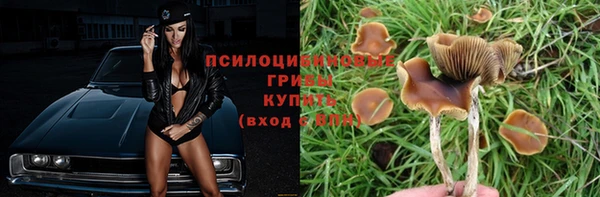 2c-b Нефтекумск